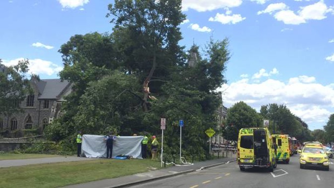 Fire and Emergency NZ said two fire crews are currently working to free a person trapped under a fallen tree on Rolleston Ave in central Christchurch. (Photo / Kurt Bayer)