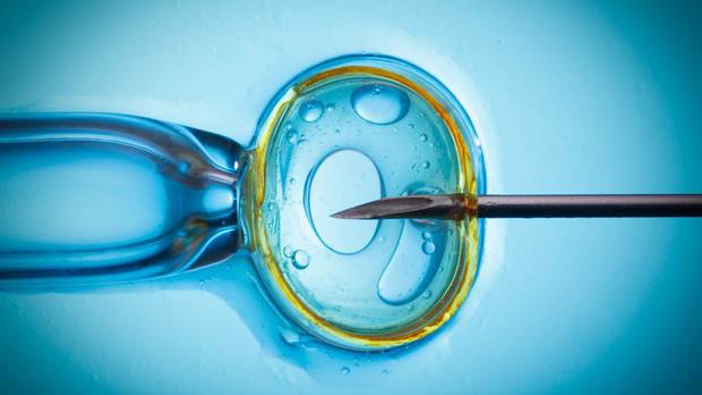 Globally, women undergo over one million in vitro fertilisation (IVF) cycles each year, but the success rate remains modest. Photo / 123RF