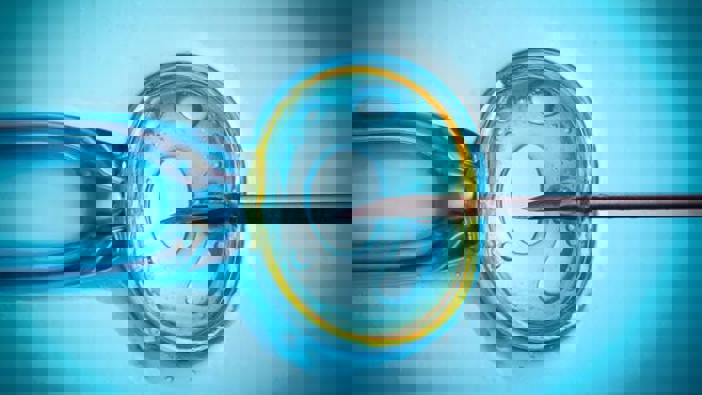 Globally, women undergo over one million in vitro fertilisation (IVF) cycles each year, but the success rate remains modest. Photo / 123RF