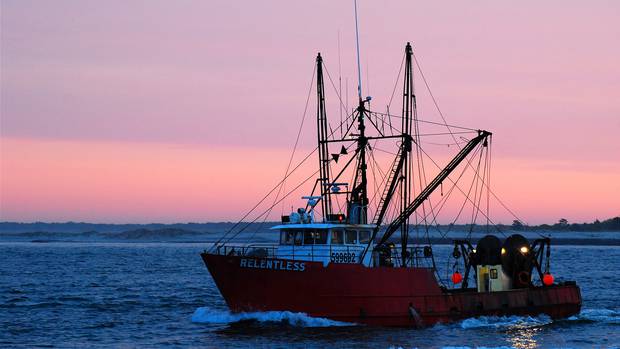 'Taken by surprise': NZ Sport Fishing Council on removing size limits for commercial fishers