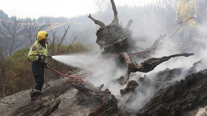 Firefighters battle after a blaze forced the evacuation of residents of 170 homes in the Tasman district. Photo / Getty Images