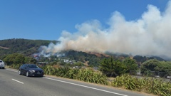 A fire has broken out in Nelson city, on Walters Bluff. (Photo / Tony - NewstalkZB caller)