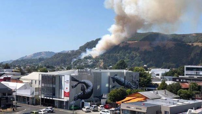 The fire at Walters Bluff in Nelson on Friday afternoon. (Photo / Nelson Weekly)