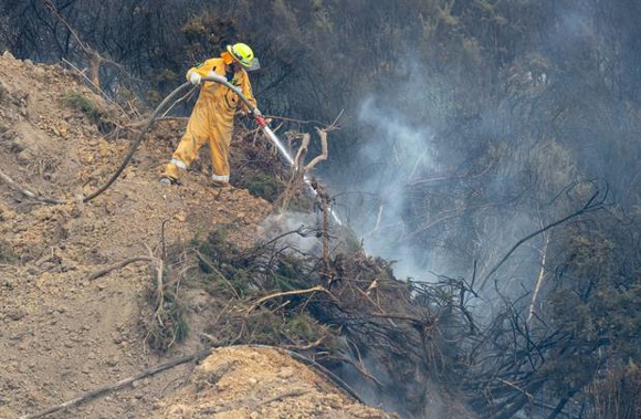 Rural firefighters in action on the fringes of the Tasman bush fires at Teapot Valley. (Photo / Mark Mitchell)