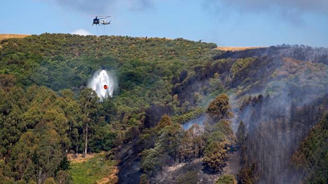 Large fire burning above Nelson city, diverting 5 helicopters from fighting the Pigeon Valley fire, Nelson. (Photo / File)