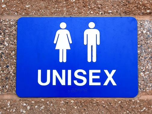 Schoolgirls are too afraid to use unisex toilets at school over fears from boys and sexual harassment, campaigners warn. Photo / Getty