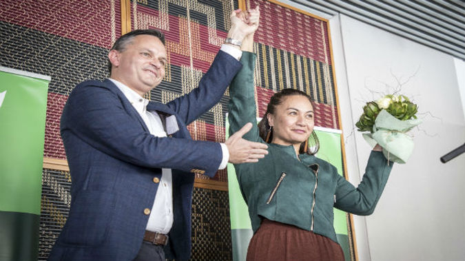 The Green co-leader says she hopes the assault won't break down the relationship between MPs and the public. (Photo / NZ Herald)