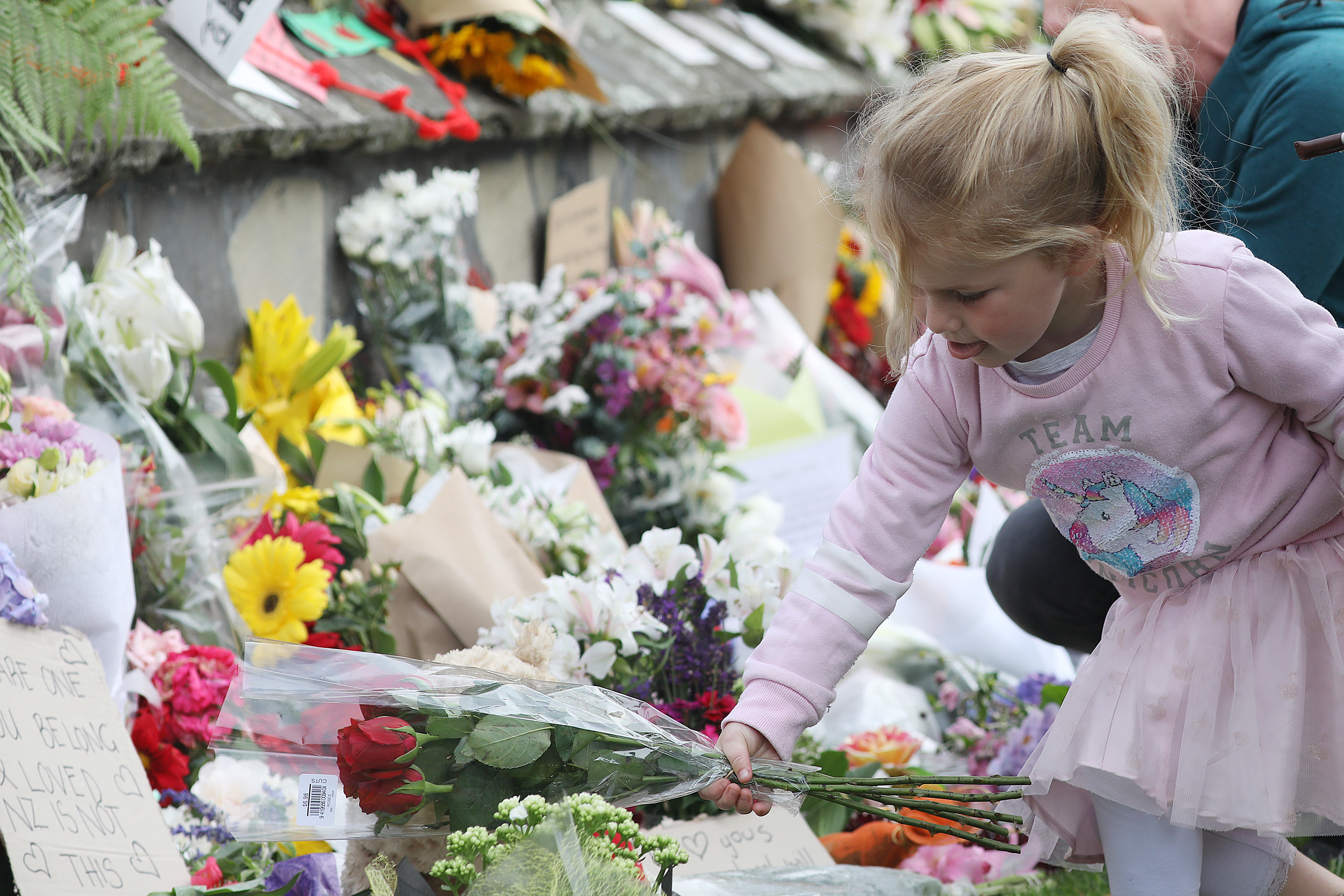 A little girl places flowers at a memorial outside the Botanical Gardens as a tribute to victims of the mosque attacks in Christchurch on March 17, 2019. Photo / Getty Images