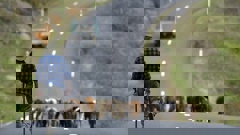 Semi automatic weapons are useful on farms, but they are not a total necessity, writes Rachel Stewart. (Photo / NZ Herald)