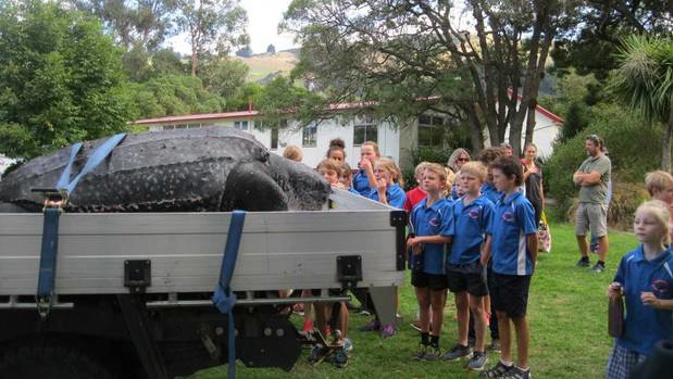 Primary school children got to see the animal up close. (Photo / Supplied)