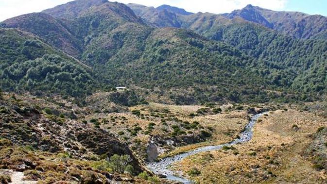 The last known location of the plane was in the Kaimanawa Ranges. (Photo / File)