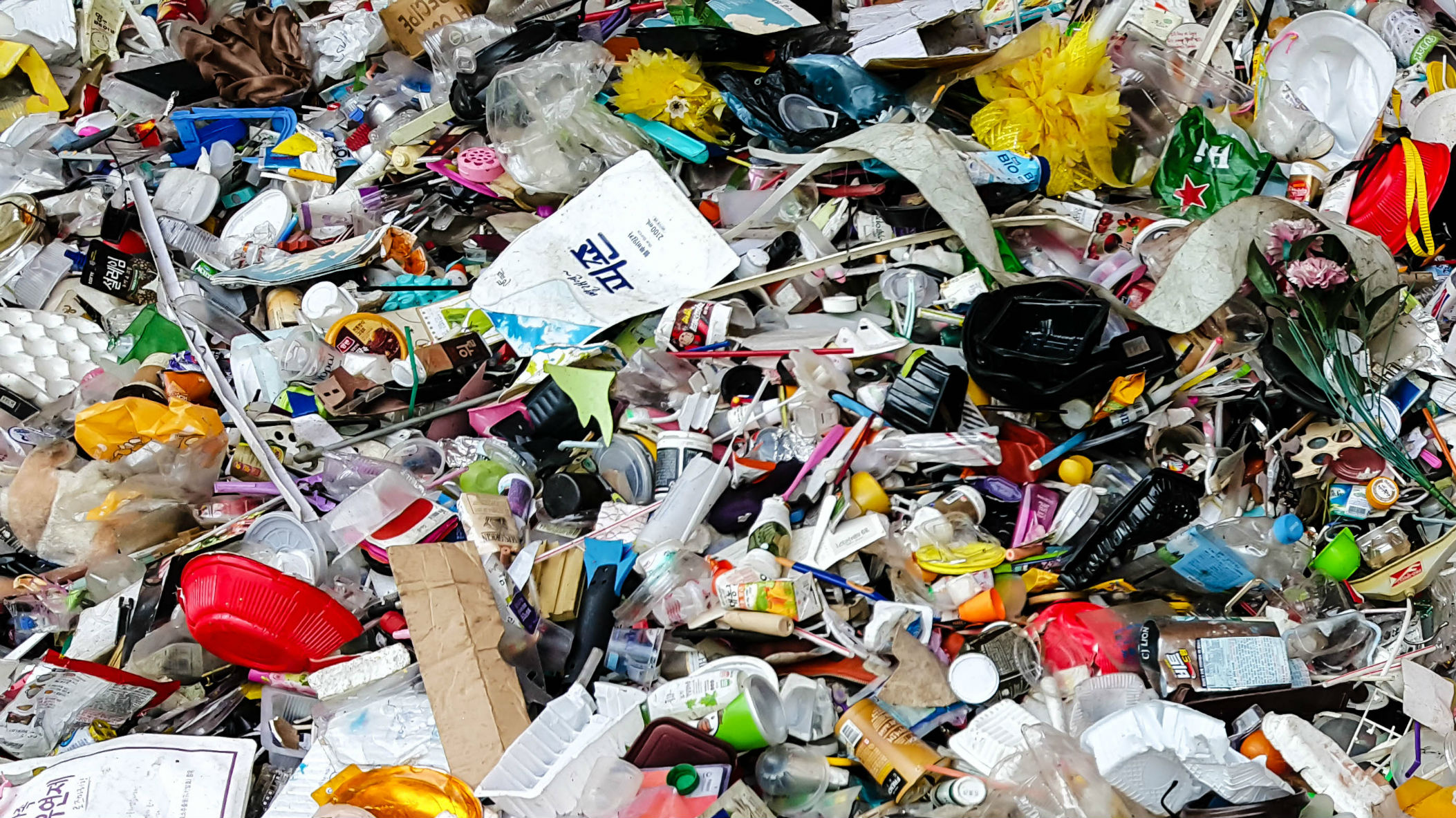 (Photo / Getty Images)