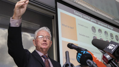 Tax Working Group chairman Sir Michael Cullen has been paid more than $84k for his work so far.