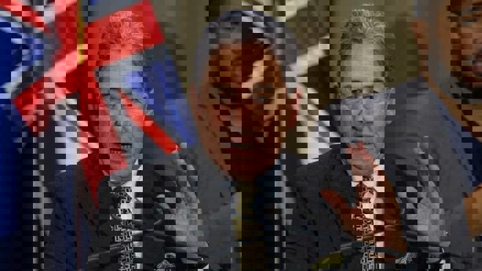 Winston Peters. Photo / NZ Herald