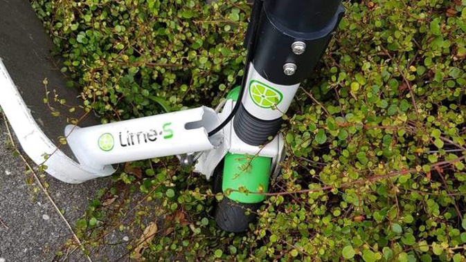 A Lime scooter that snapped while being ridden on Westhaven Drive, causing a serious accident. (Photo / Supplied)