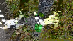 A Lime scooter that snapped while being ridden on Westhaven Drive, causing a serious accident. (Photo / Supplied)