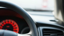 The Panel: Driver's license tests, Trevor Mallard sued