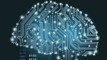 Revealed: Are we in an AI bubble?