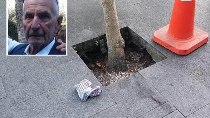 Bruce Steedman suffered a critical head injury after falling into this tree pit in Newmarket in March and later died. Photo / Supplied