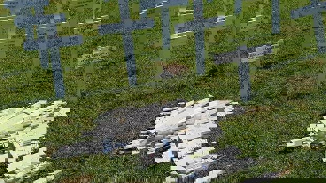 Dozens of the Huntly RSA crosses were damaged in the attack. Photo / Antonello Savini