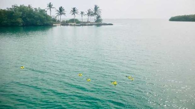 Yellow flowers released in Panama by friends and family of Kiwi dad Alan Culverwell. (Photo / Supplied)