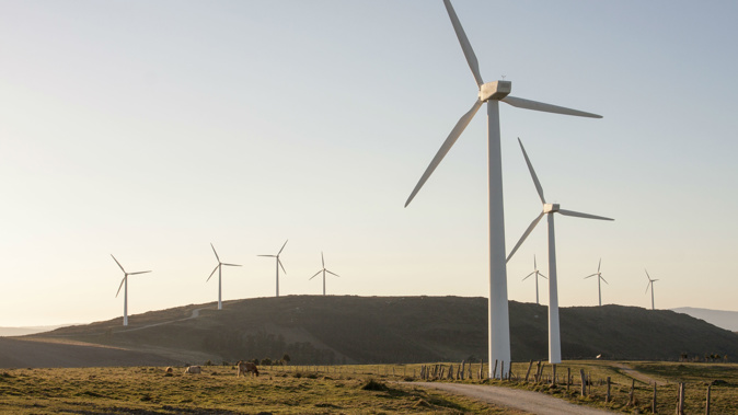 Wind and solar power made up the difference. (Photo / AP)