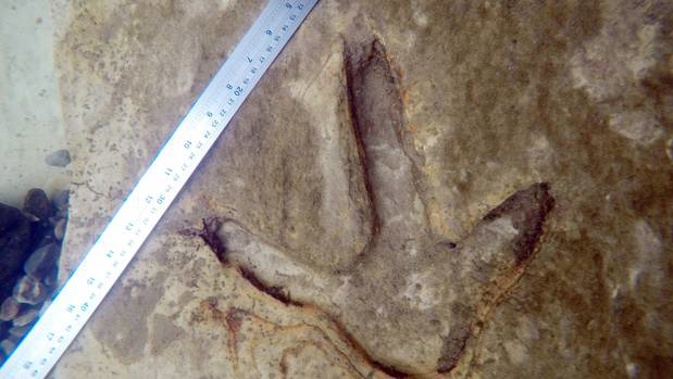 Set in stone . . . Moa footprints near Kyeburn. Photo / supplied.