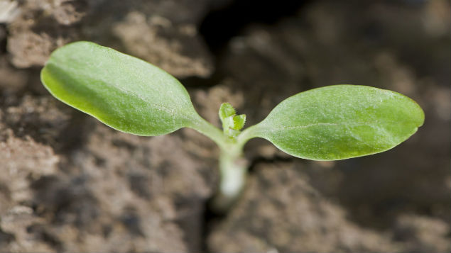  (Photo: Getty Images)
