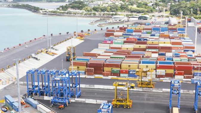 John Tamihere wants to sell the Ports business and keep the land in public hands. (Photo / Leon Menzies)
