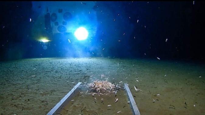 The bag was discovered by Victor Vescovo on his dive. (Photo / Supplied)