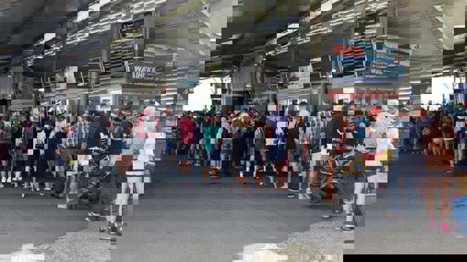 Long queues for the Waiheke ferry at the downtown ferry terminal. Photo / File