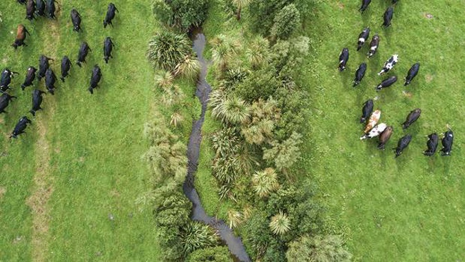 Farmers will benefit from a new $229m package aimed at cleaning up waterways. (Photo / Dairy NZ)