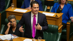 Simon Bridges says there is nothing in the budget for most New Zealanders. (Photo / NZ Herald)