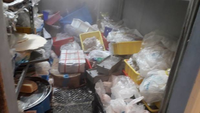 Auckland's E-graded eateries showed a range of poor hygiene and pest control issues. Photo / Auckland Council