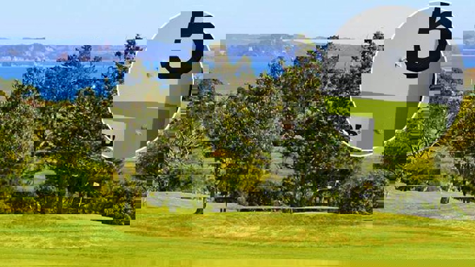 Police believe the shots were likely fired by an air gun, but have been unable to find the culprit. (Photo / Supplied)