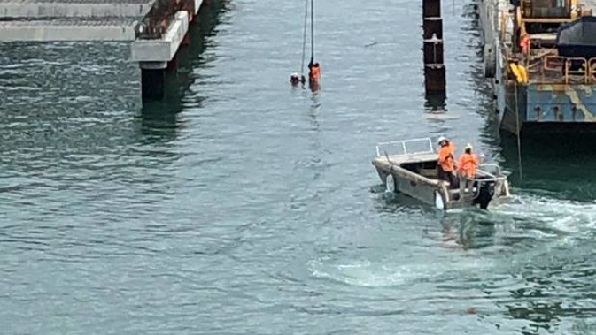 The two workers clinging onto a crane after slipping into the water off Hobson Wharf on Auckland's waterfront. Photo / Phoebe Moore