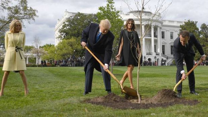US President Donald Trump and French President Emmanuel Macron plant a tree watched by Trump's wife Melania and Macron's wife Brigitte. (Photo / Getty)
