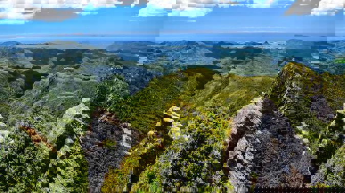 Coromandel Forest Park. (Photograph / 123RF)