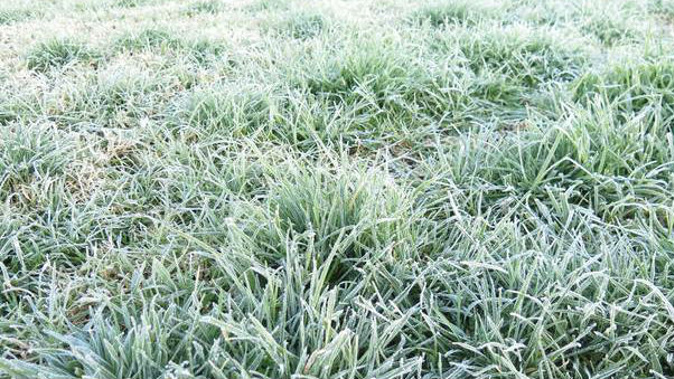 Frosts have blanketed New Zealand this morning as temperatures dipped below zero in many parts of the country. (Photo / Peter de Graaf)