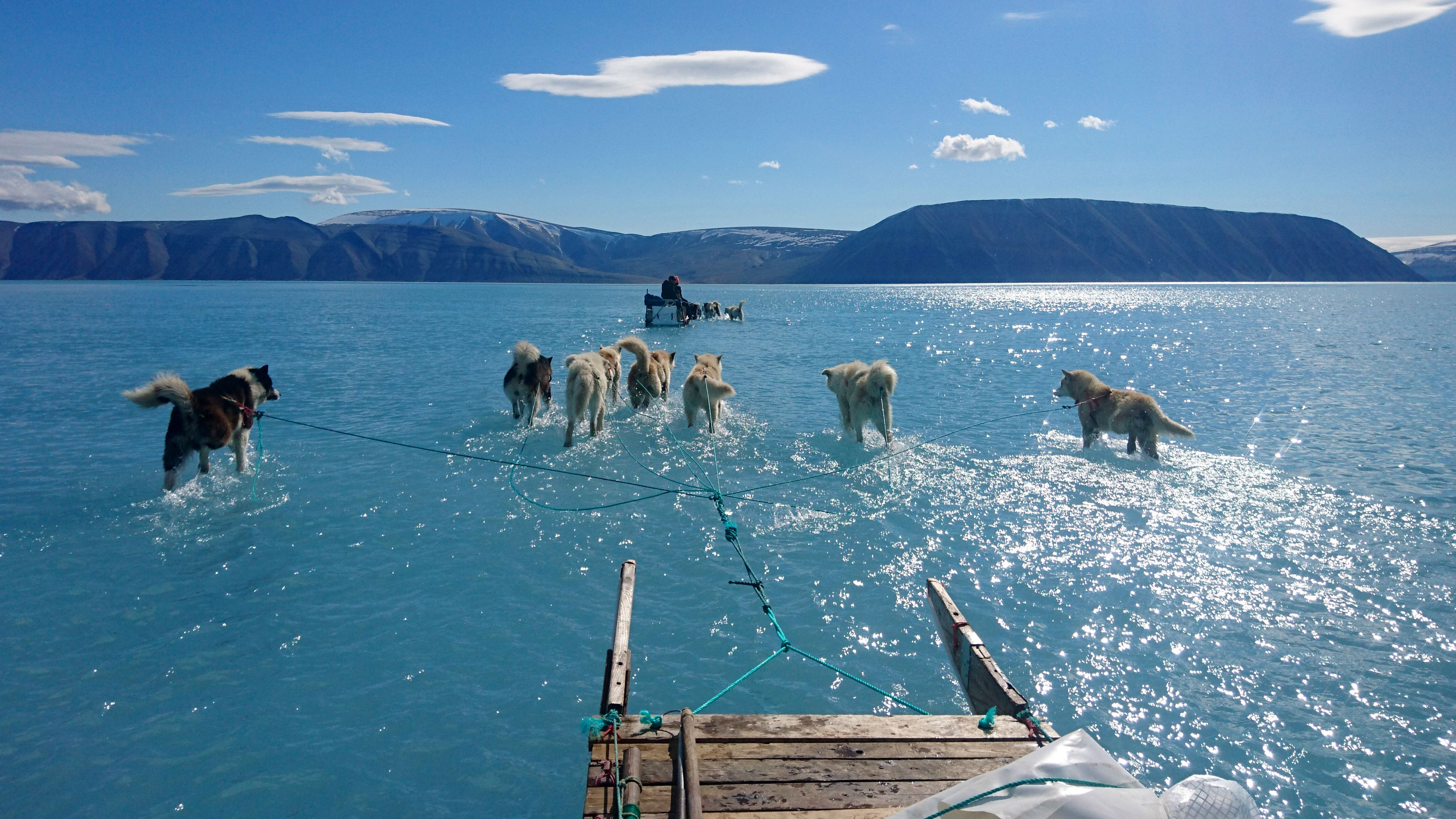 The melting sea ice has been captured in a stunning photo of dogs crossing the vista. (Photo / AP) 