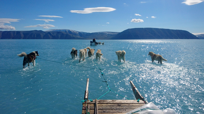 The melting sea ice has been captured in a stunning photo of dogs crossing the vista. (Photo / AP) 