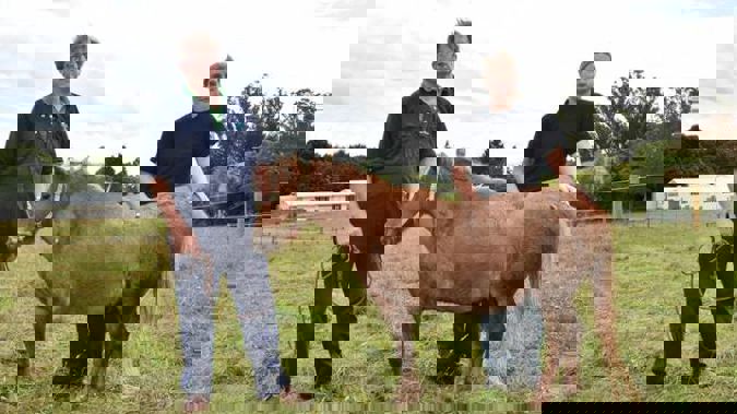 Star was treated by Otago Equine Hospital veterinarians Peter Gillespie and Stephanie Bransgrove after the attack but later died.