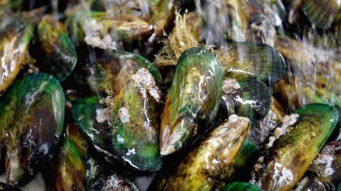 Mussels warning after food poisoning jump Mussels warning after food poisoning jump