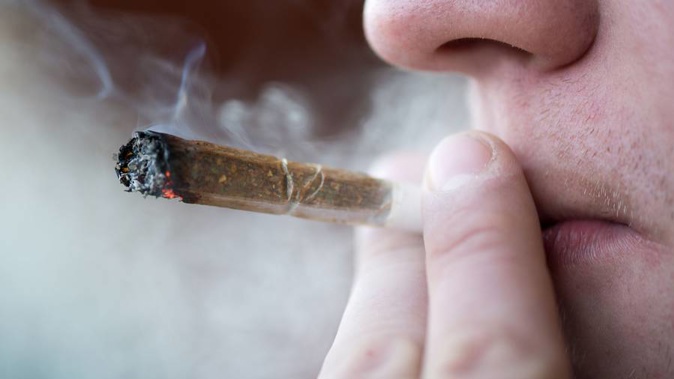 Cannabis is the most common illegal drug in the country. (Photo / NZ Herald)