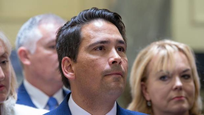 Simon Bridges seems to be playing with the truth about a meeting with Judith Collins. (Photo / NZ Herald)