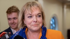Judith Collins made the complaint to the Auditor-General's office. (Photo / NZ Herald)