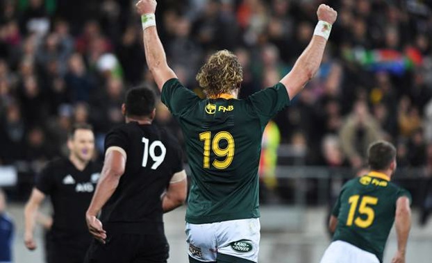 The Springboks' RG Snyman celebrates at the final whistle after beating the All Blacks in Wellington last year. Photo / Photosport
