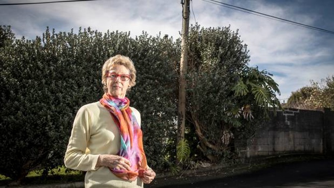 Auckland woman Christine has been locked in a two-year battle with Chorus to remove a telephone pole erected illegally on her land. (Photo / Michael Craig)