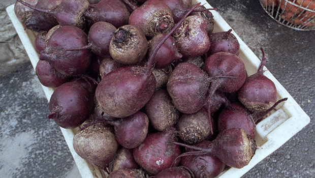 Mike van de Elzen: Roasted Beetroot with goats whip and winter dressing