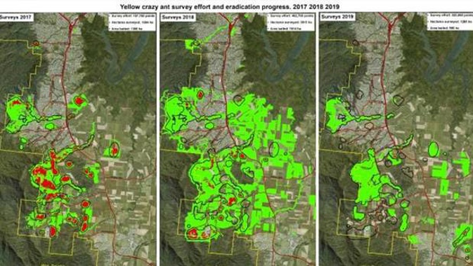 Green shows the areas where the ants weren't detected, while red shows where they were. The black outline represents the treatment boundary.